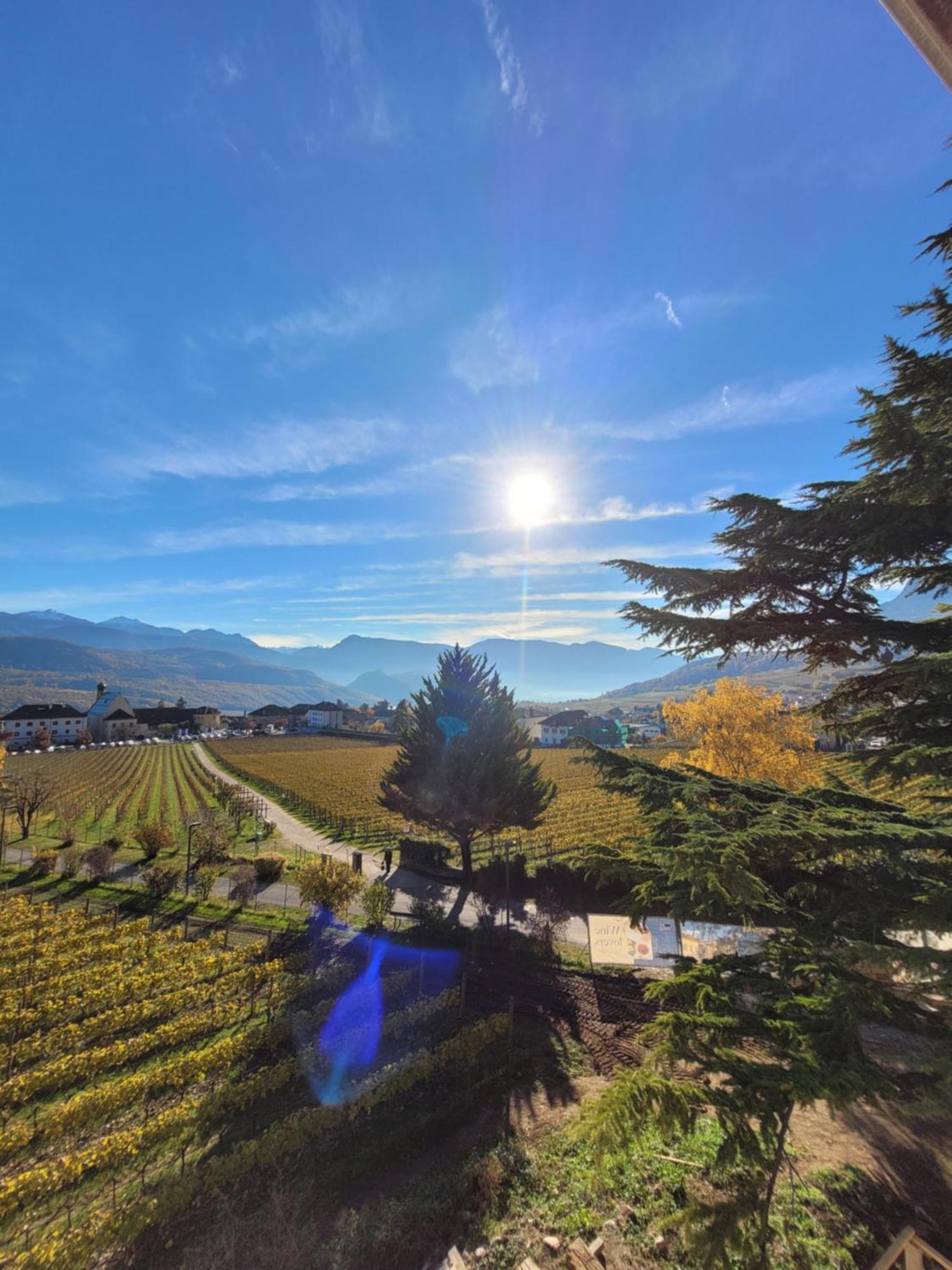 Castel Sallegg Suites Adults Only Caldaro Exterior foto